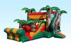 6A9862BC 25D9 4E36 8C28 DE10E3930F17 58280828 15x30 Dinosaur Combo with Pool