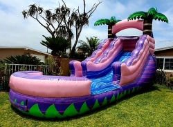 15' Princess Sparkle Waterslide